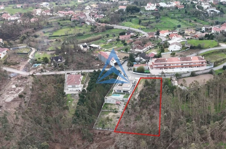 Terreno para Venda em Meirinhas Foto 8