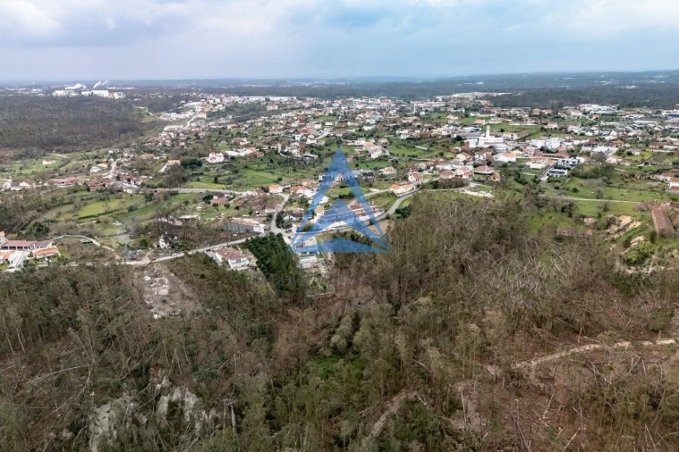 Terreno para Venda em Meirinhas Foto 13