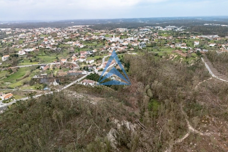 Terreno para Venda em Meirinhas Foto 3