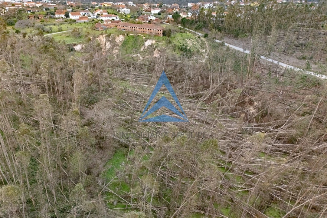 Terreno para Venda em Meirinhas Foto 18