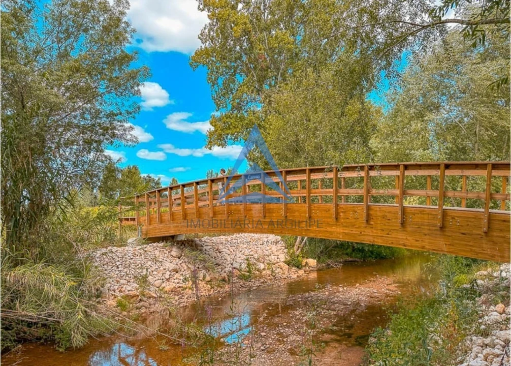Terreno para Venda em Meirinhas Foto 20