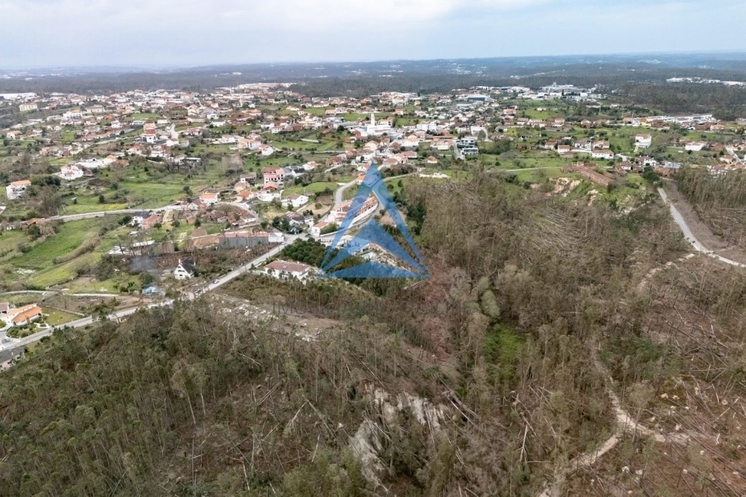 Terreno para Venda em Meirinhas Foto 3