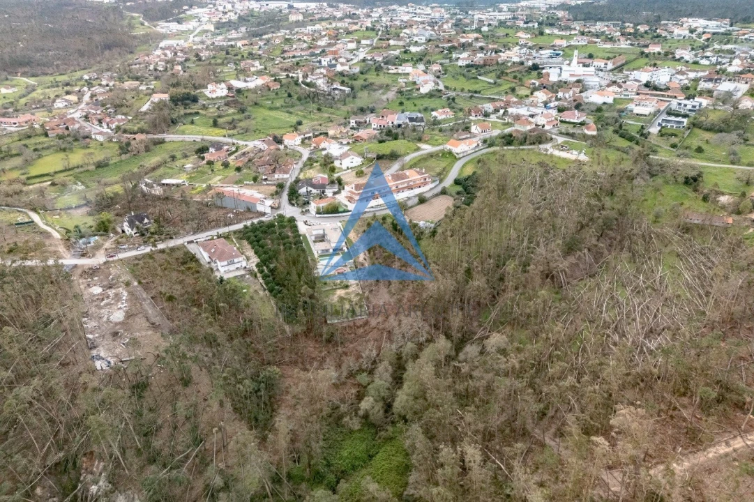 Terreno para Venda em Meirinhas Foto 16