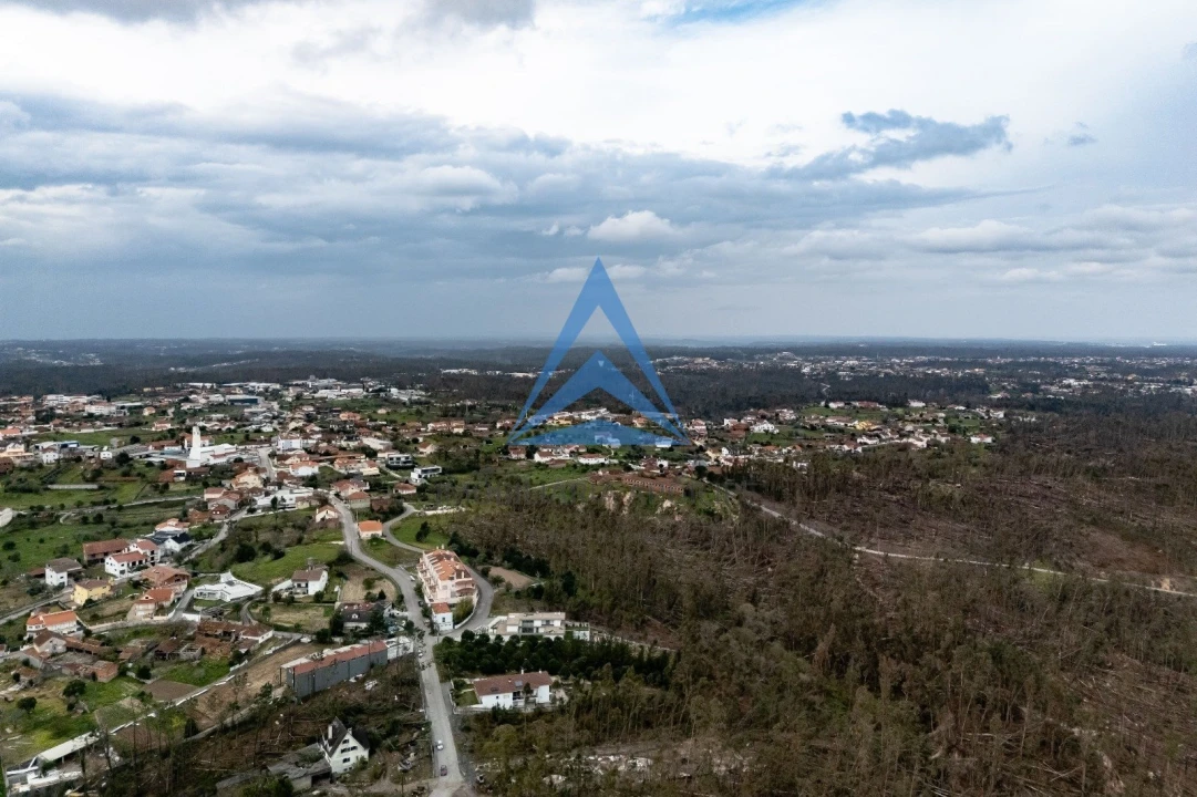 Terreno para Venda em Meirinhas Foto 14