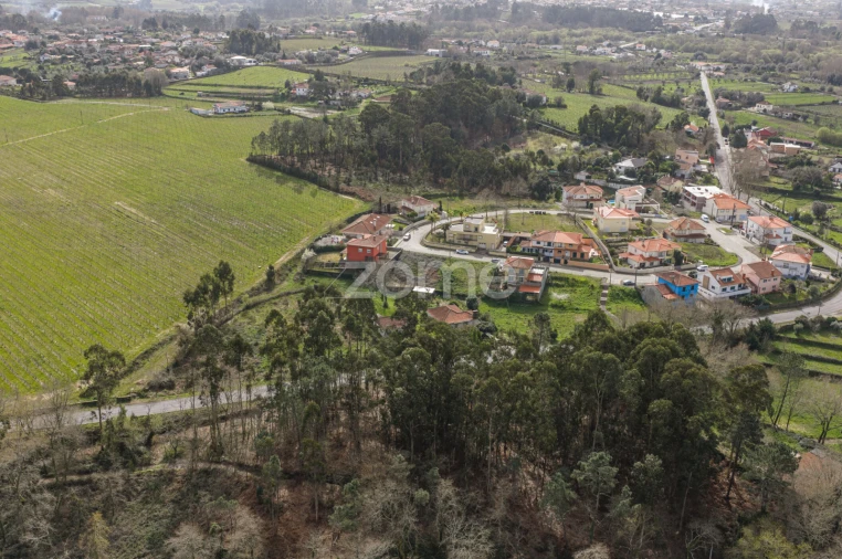 Terreno para Venda em Geraz do Lima (Santa Maria, Santa Leocádia, Moreira), Deão Foto 18