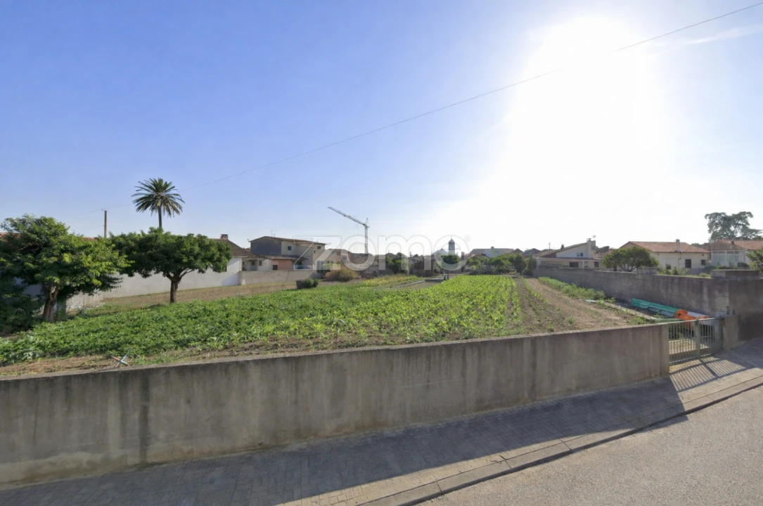 Terreno para Venda em Murtede Foto 12