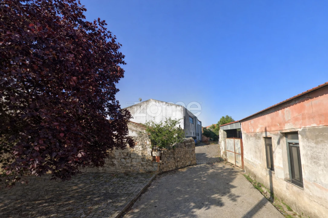 Terreno para Venda em Murtede Foto 5