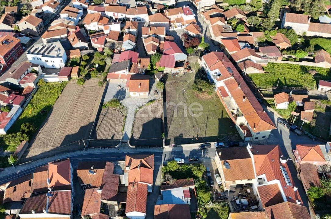Terreno para Venda em Murtede Foto 11