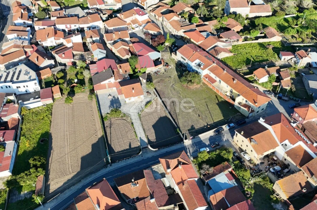 Terreno para Venda em Murtede Foto 13