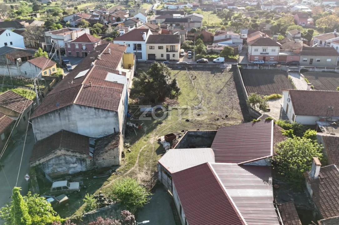 Terreno para Venda em Murtede Foto 15