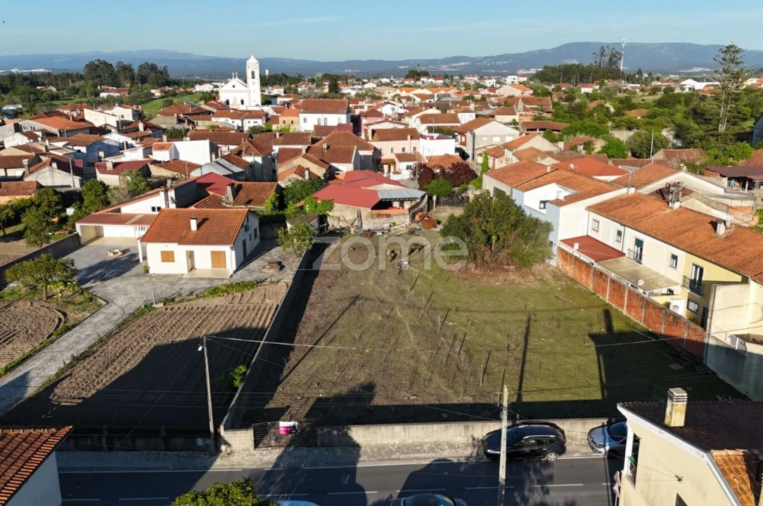 Terreno para Venda em Murtede Foto 17