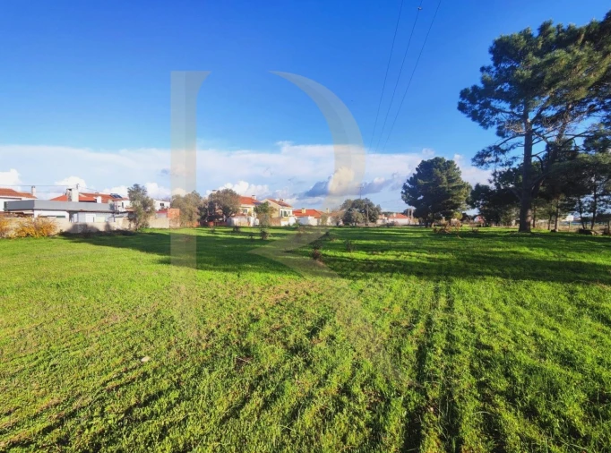 Terreno para Venda em Pinhal Novo Foto 1