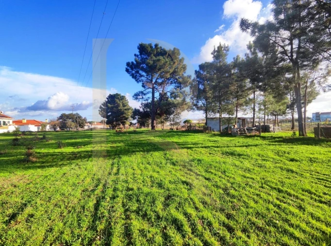 Terreno para Venda em Pinhal Novo Foto 3