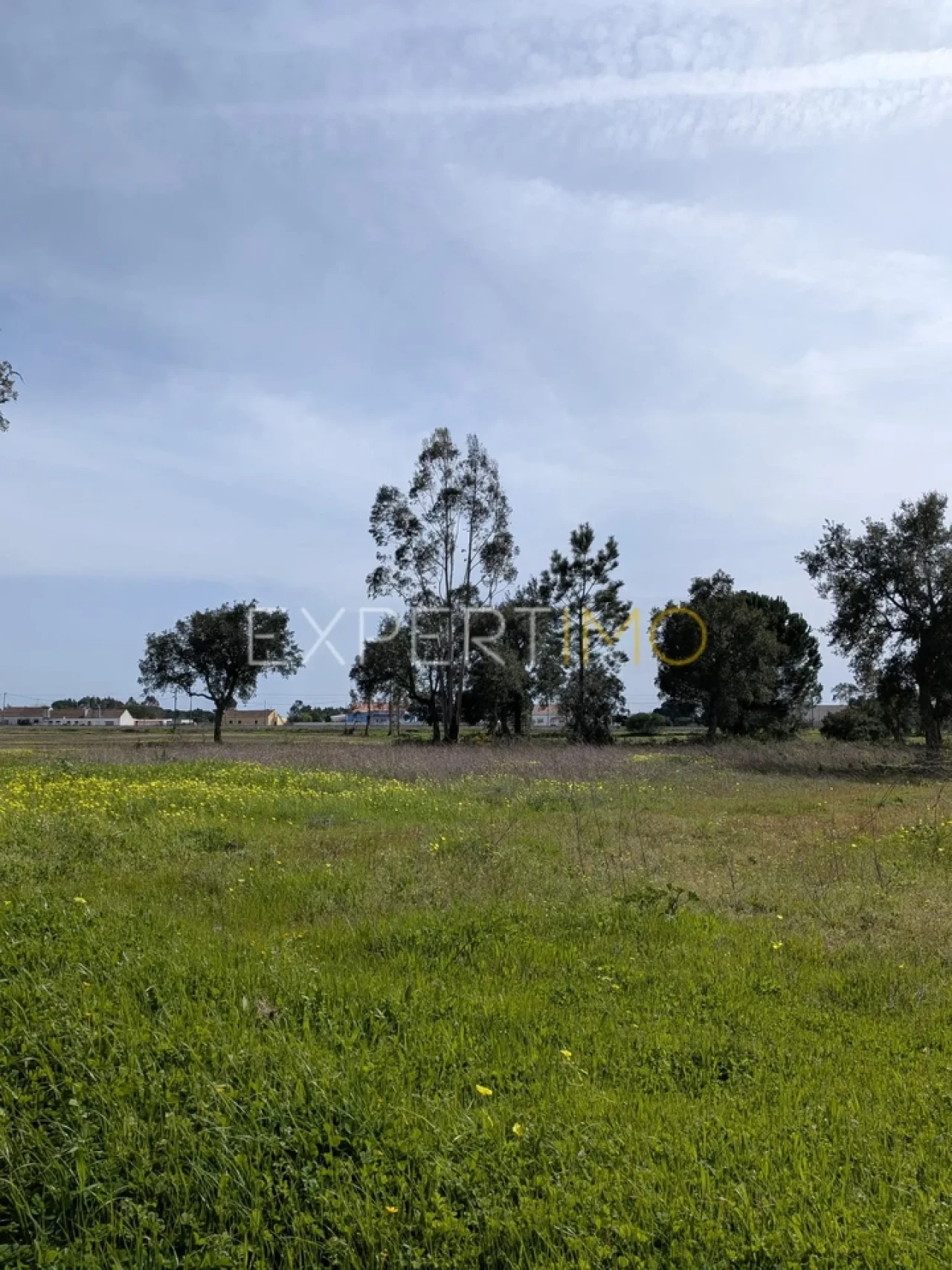 Terreno para Venda em Pegões Foto 11