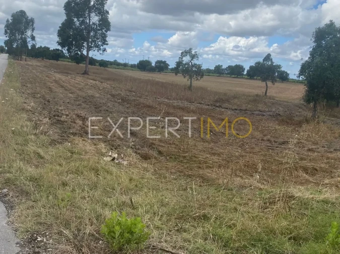 Terreno para Venda em Pegões
