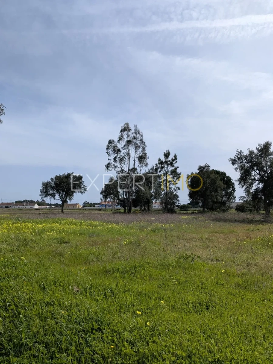 Terreno para Venda em Pegões Foto 11