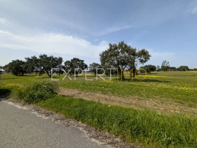 Terreno para Venda em Pegões Foto 12