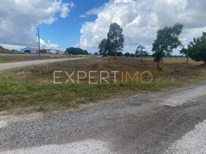 Terreno para Venda em Pegões Foto 5