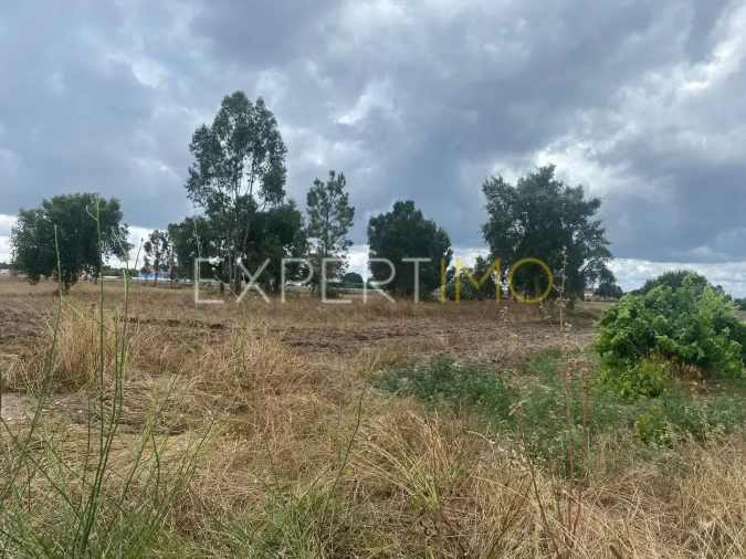 Terreno para Venda em Pegões Foto 6
