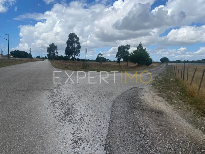 Terreno para Venda em Pegões Foto 7