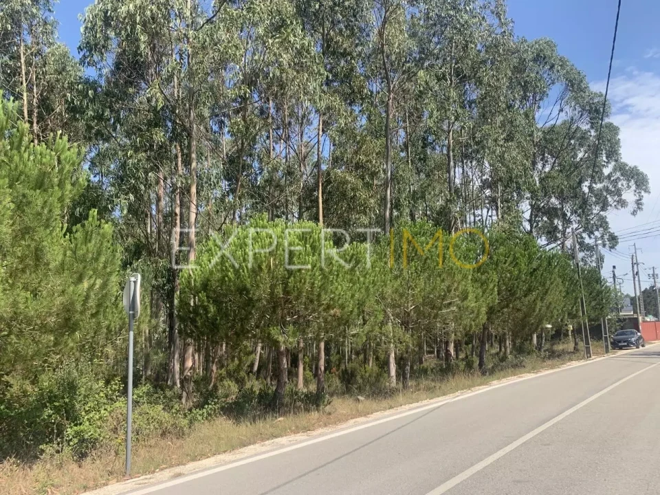 Terreno para Venda em Marrazes e Barosa Foto 1