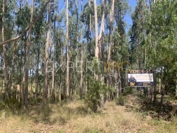 Terreno para Venda em Marrazes e Barosa
