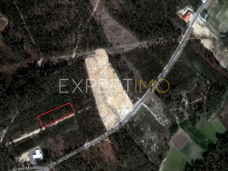 Terreno para Venda em Matas e Cercal Foto 1