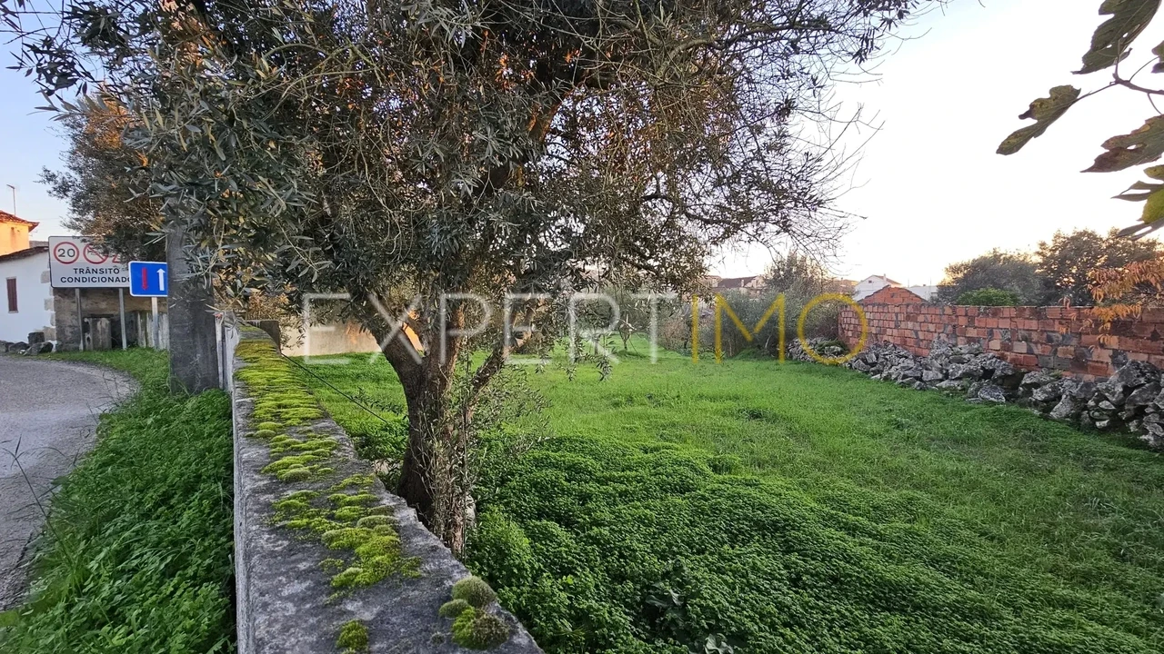 Terreno para Venda em Pombal Foto 2