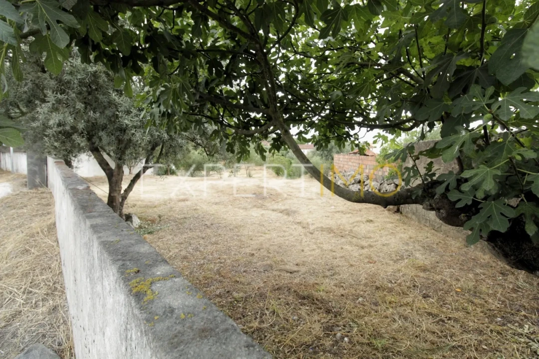 Terreno para Venda em Pombal Foto 5
