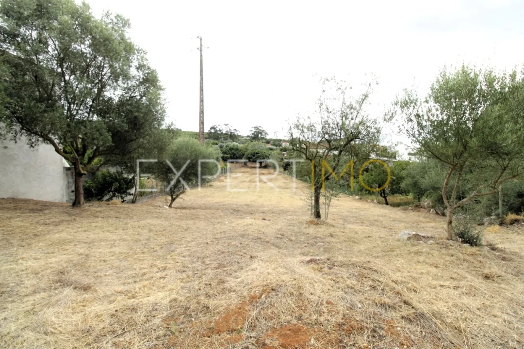 Terreno para Venda em Pombal Foto 7