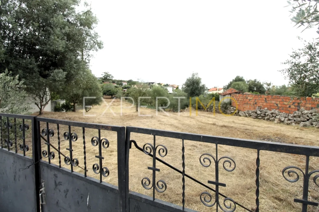 Terreno para Venda em Pombal Foto 8