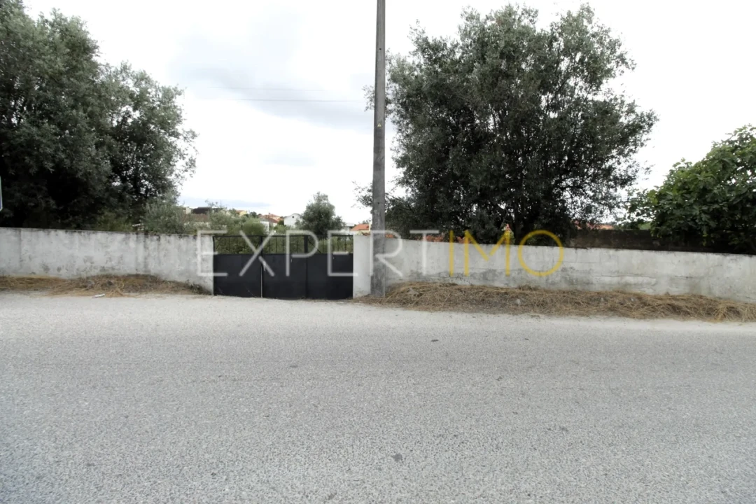 Terreno para Venda em Pombal Foto 9