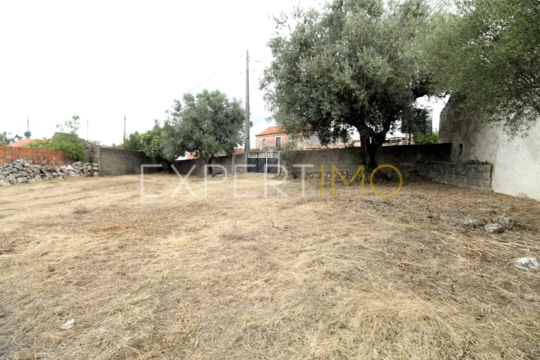 Terreno para Venda em Pombal Foto 3