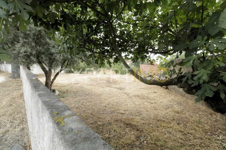 Terreno para Venda em Pombal Foto 5