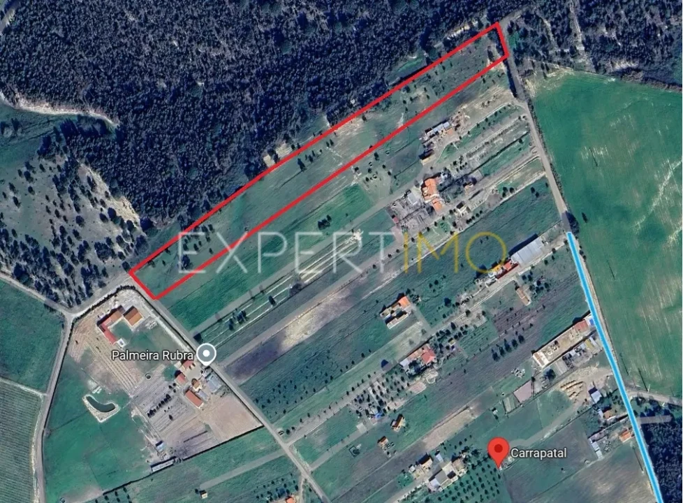Terreno para Venda em Canha Foto 1