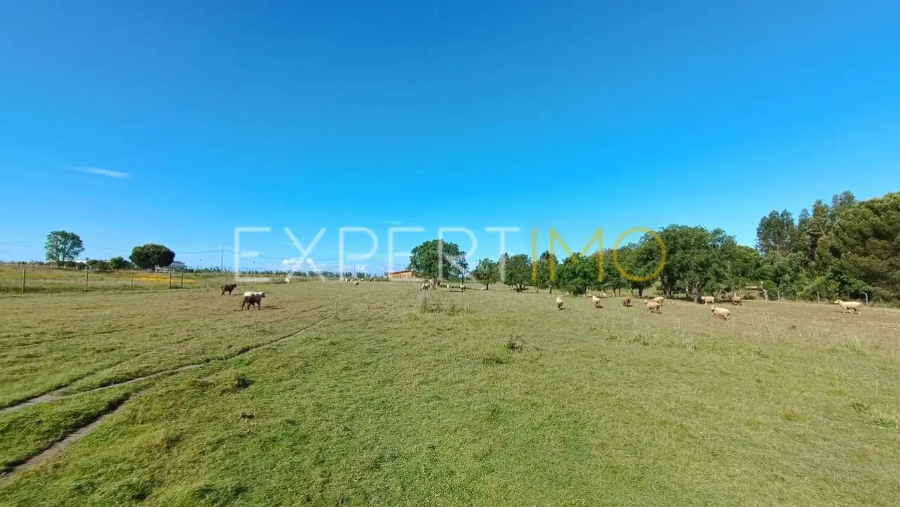 Terreno para Venda em Canha Foto 3