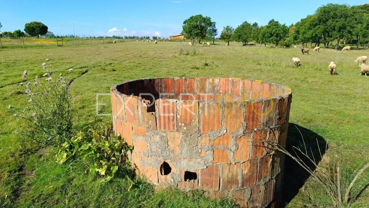 Terreno para Venda em Canha Foto 5