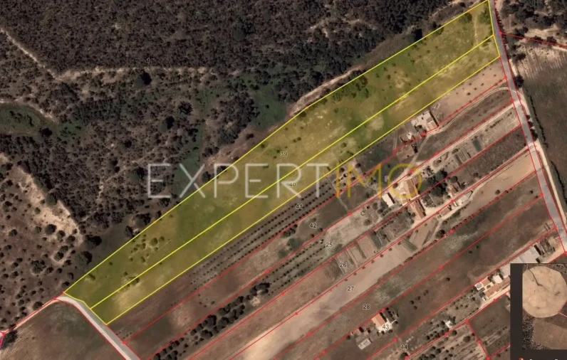 Terreno para Venda em Canha Foto 2