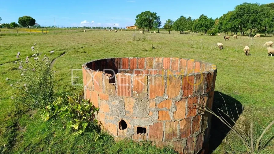 Terreno para Venda em Canha Foto 5