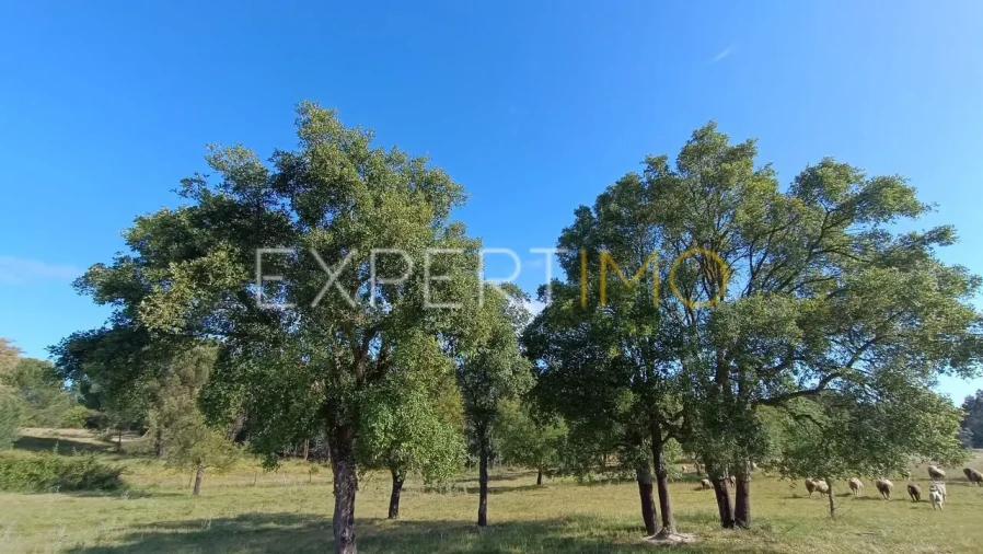Terreno para Venda em Canha Foto 6