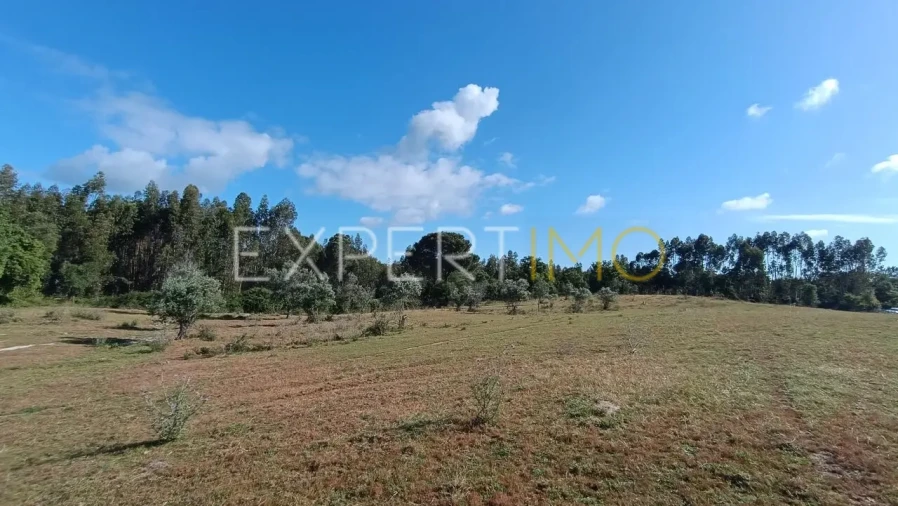 Terreno para Venda em Canha Foto 8