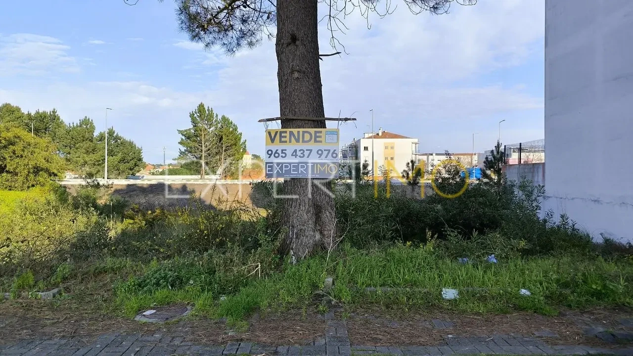 Terreno para Venda em Marinha Grande Foto 6