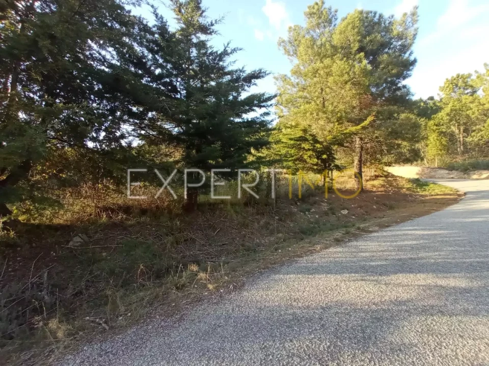 Quinta T4 para Venda em Gonçalo Foto 1