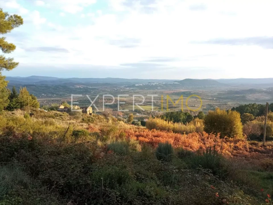 Quinta T4 para Venda em Gonçalo Foto 11