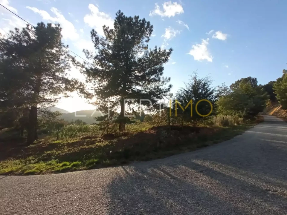 Quinta T4 para Venda em Gonçalo Foto 13