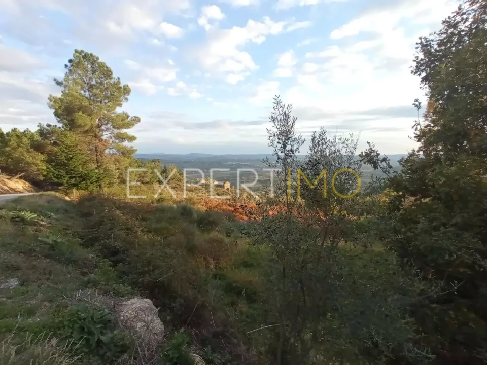 Quinta T4 para Venda em Gonçalo Foto 19