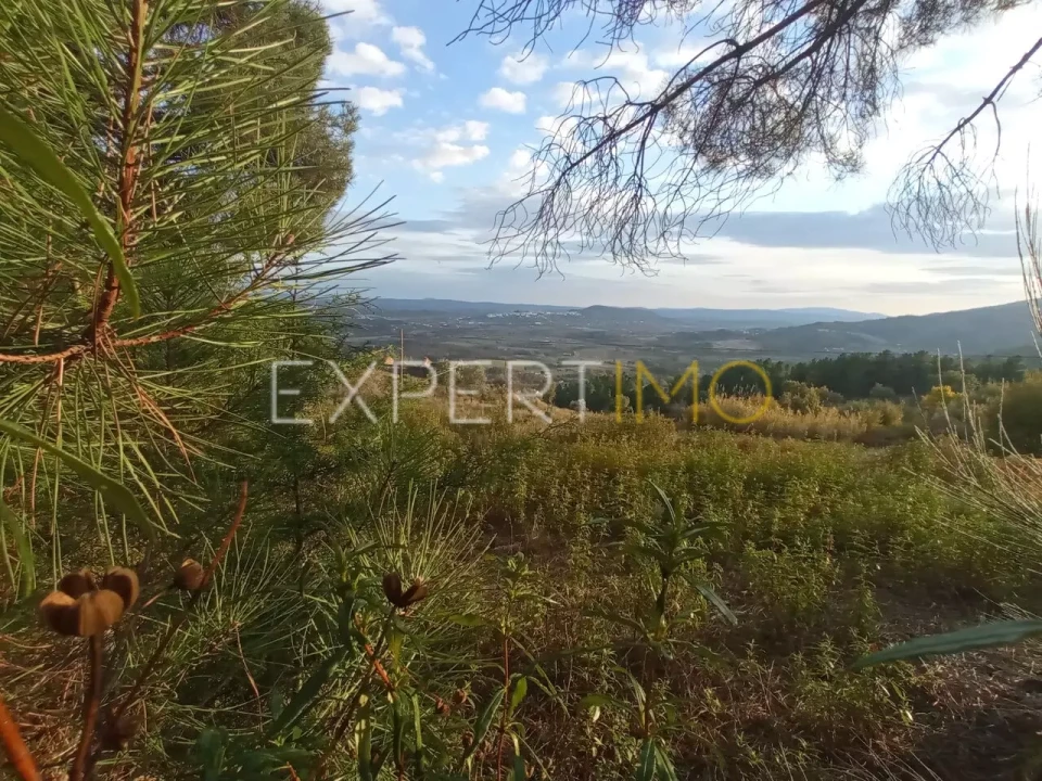 Quinta T4 para Venda em Gonçalo Foto 5