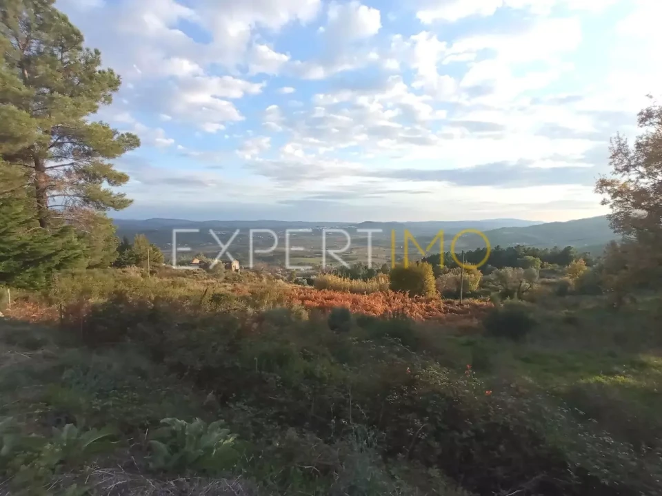 Quinta T4 para Venda em Gonçalo Foto 7