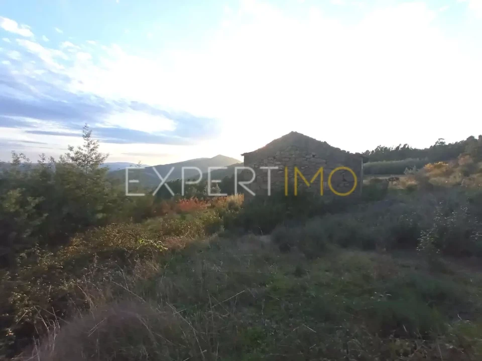 Quinta T4 para Venda em Gonçalo Foto 9