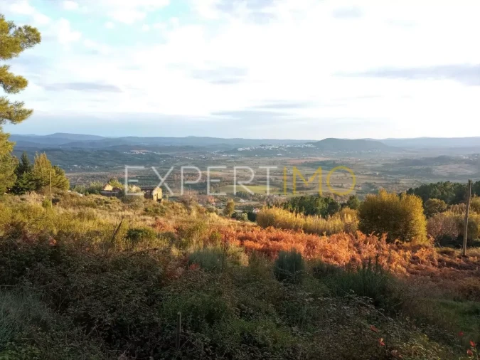 Quinta T4 para Venda em Gonçalo Foto 11